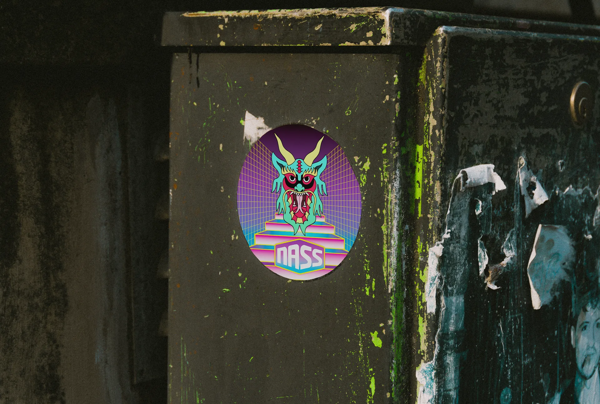 nass-image7-full-screen